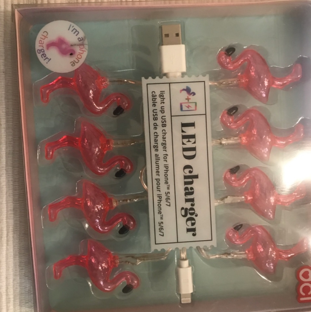 IPhone charger